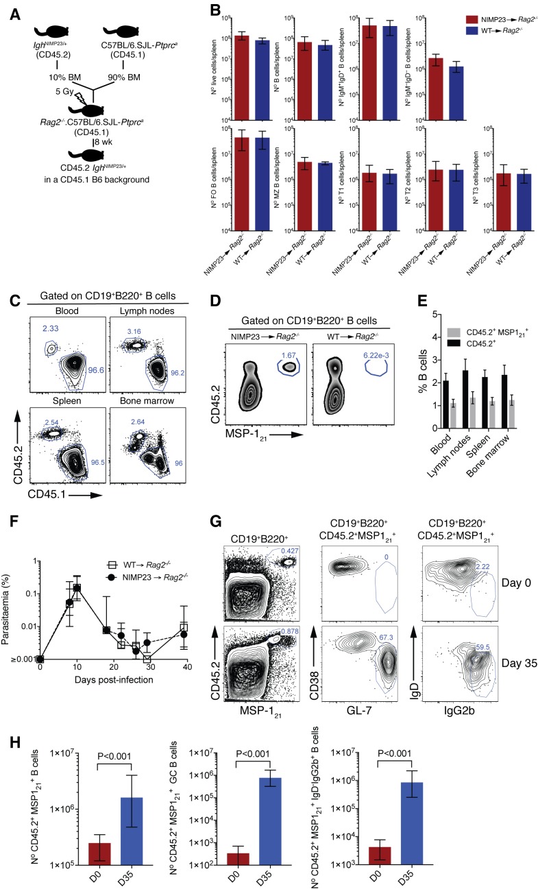 Figure 1—figure supplement 2.