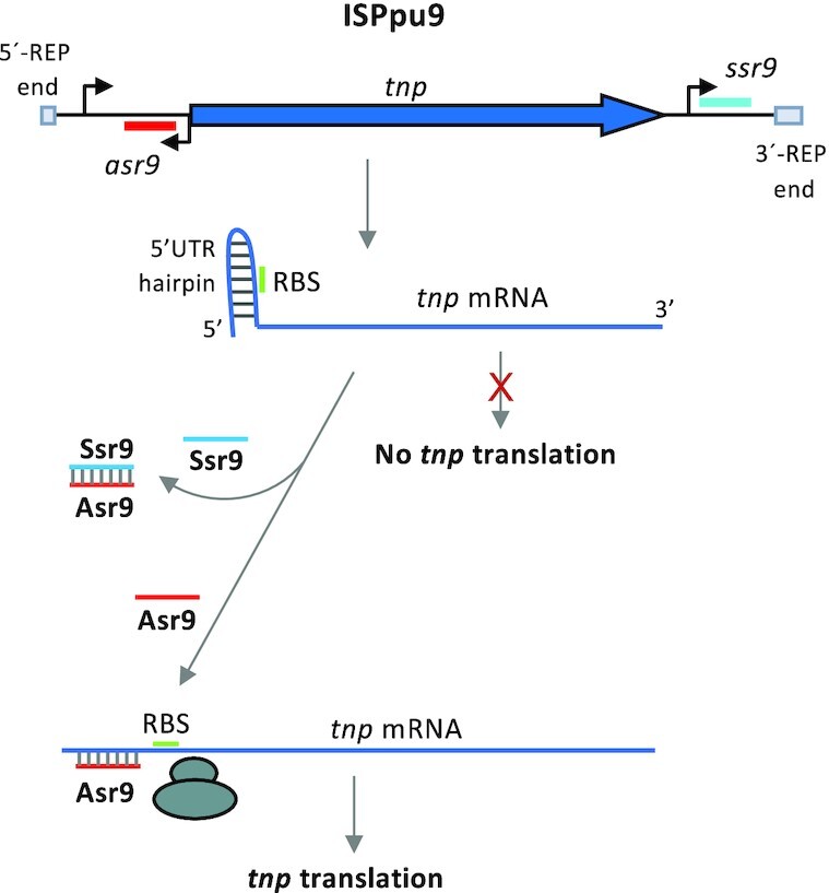 Figure 12.