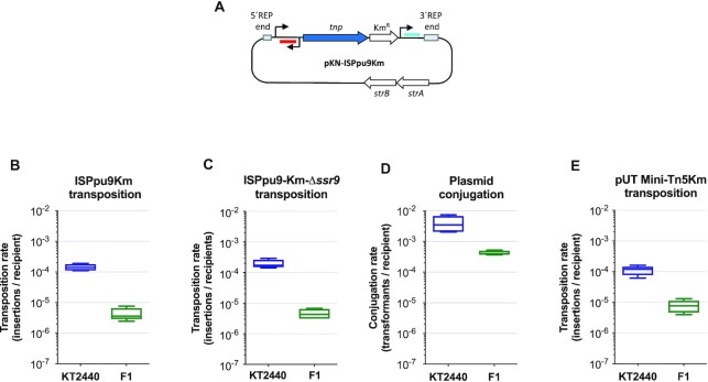 Figure 10.