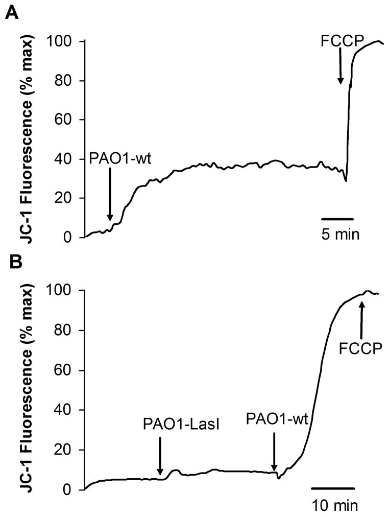 Fig. 8