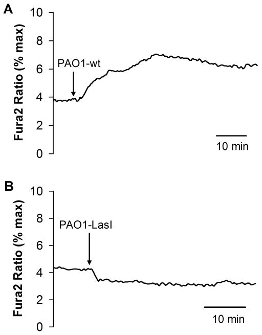 Fig. 9