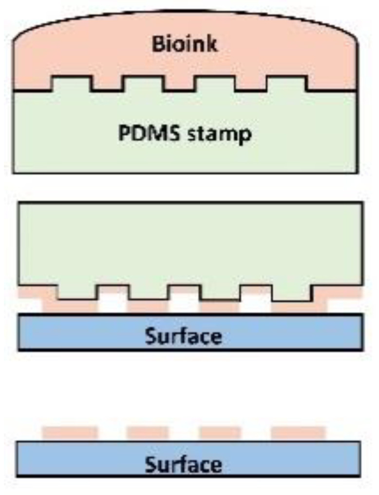 graphic file with name micromachines-12-00914-i005.jpg