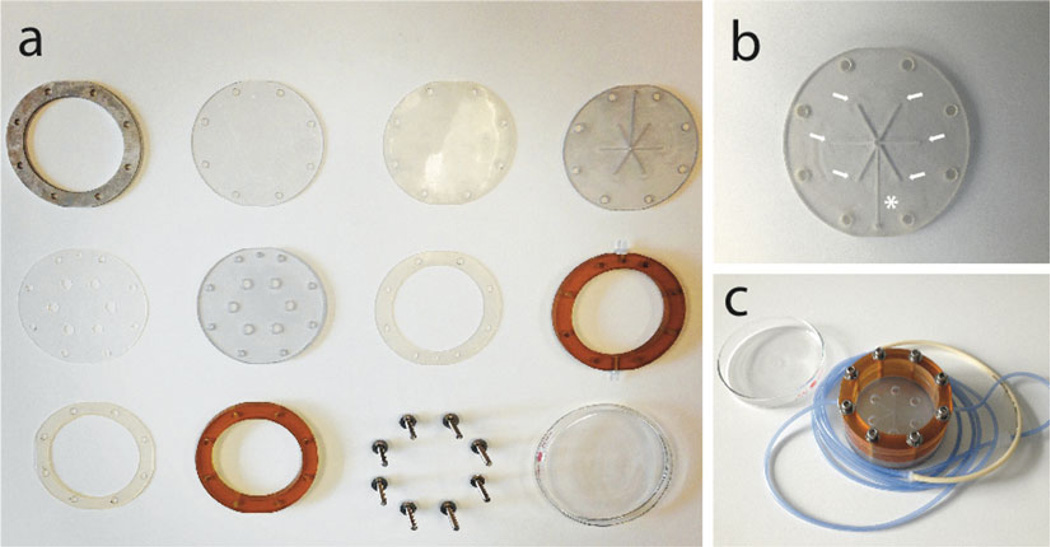 Fig. 1