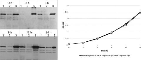 FIG. 5.