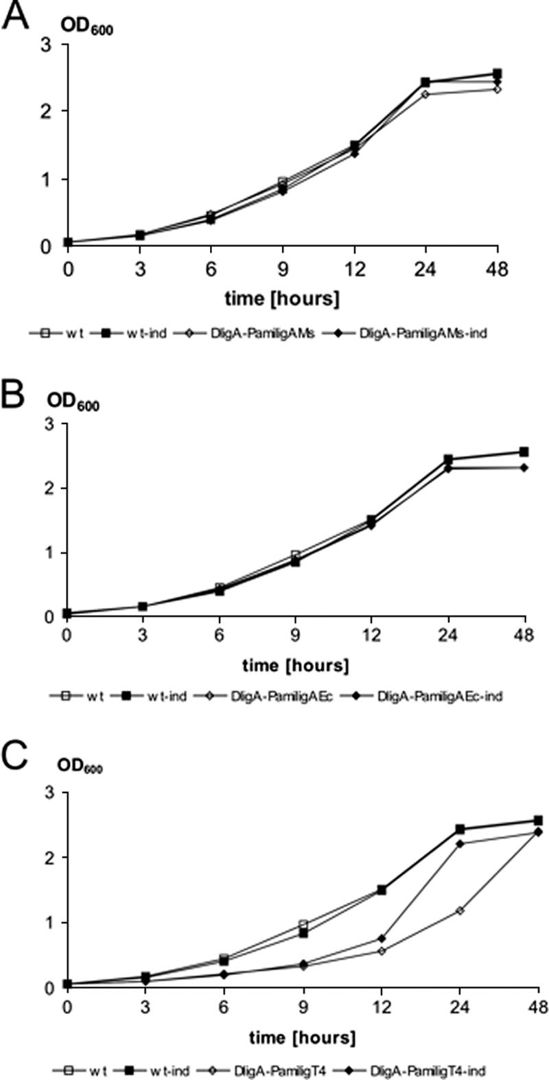 FIG. 4.