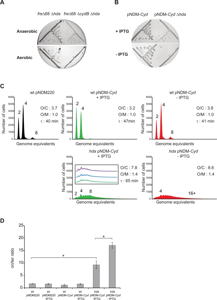 Fig 6