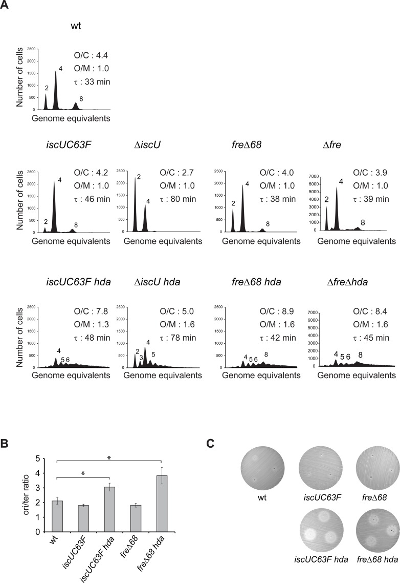 Fig 2