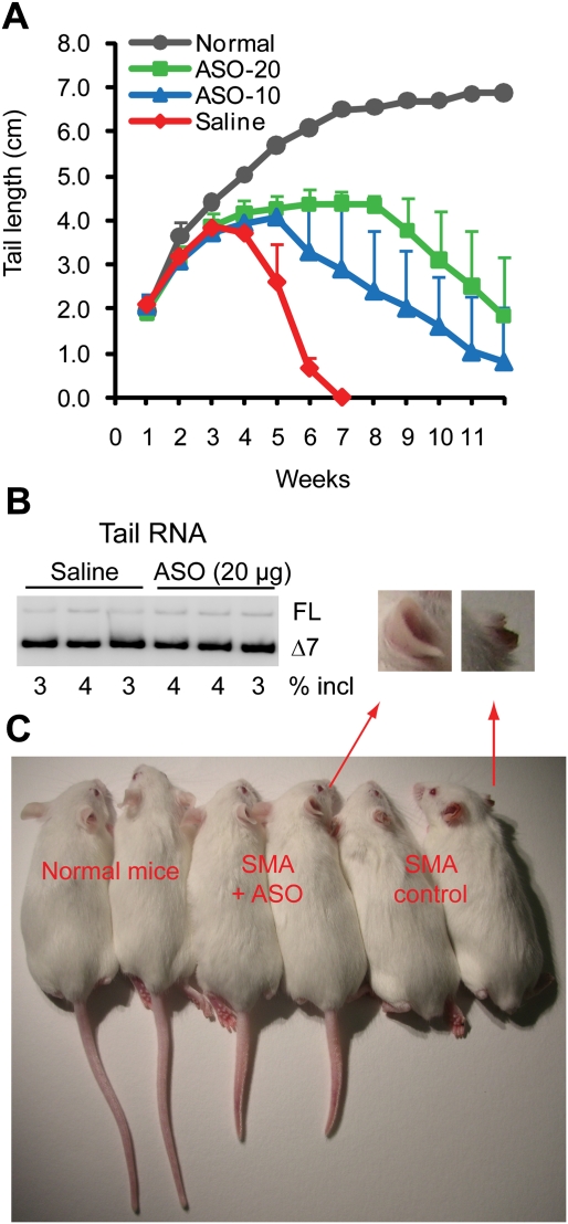 Figure 6.