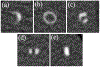 Fig.1