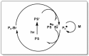 Scheme 6