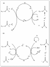 Scheme 11