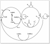 Scheme 10