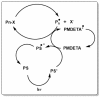 Scheme 7
