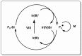 Scheme 5
