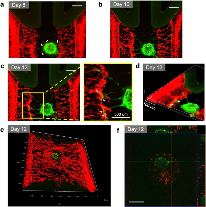 Fig. 4