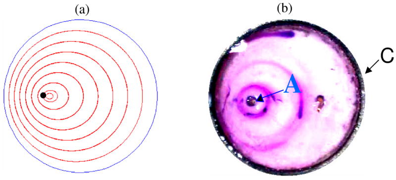 Fig.7