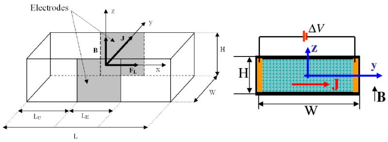 Fig.1