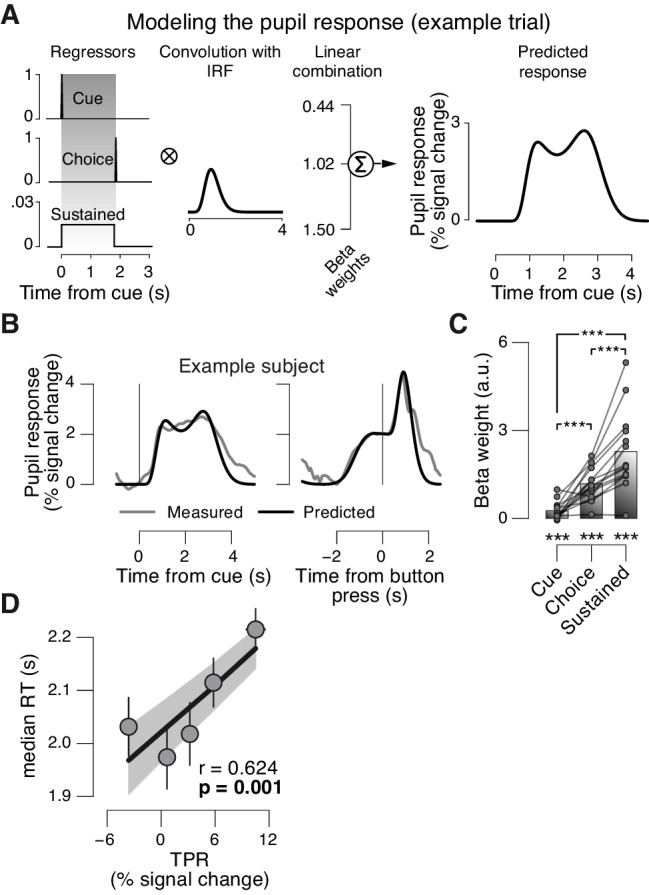 Figure 1—figure supplement 1.