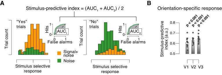 Figure 5—figure supplement 1.