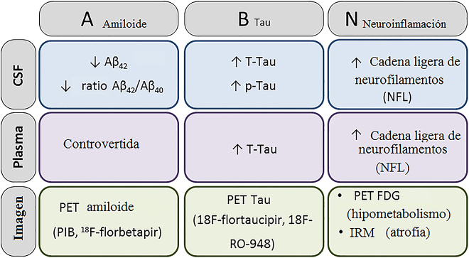 Figura 2: