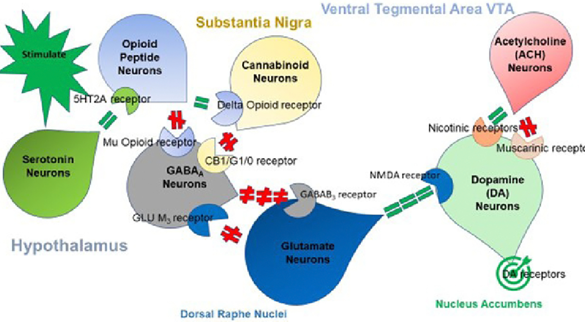 Figure 1: