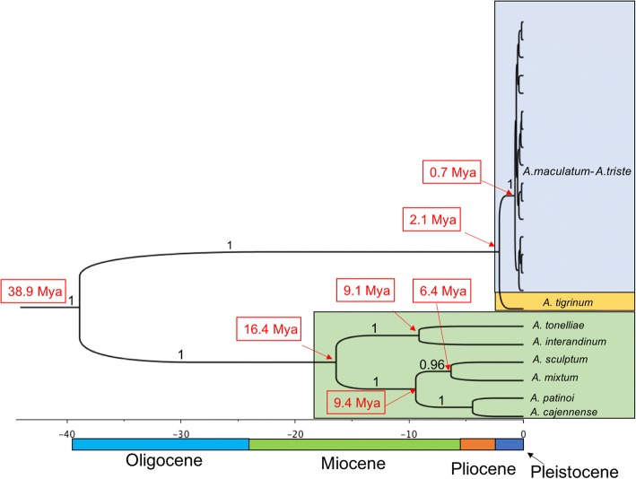 Fig. 8