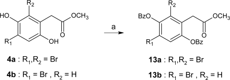 Scheme 3.