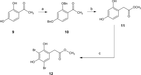 Scheme 2.