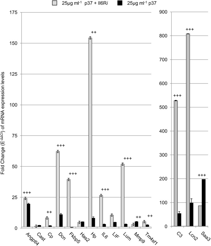 Fig 5