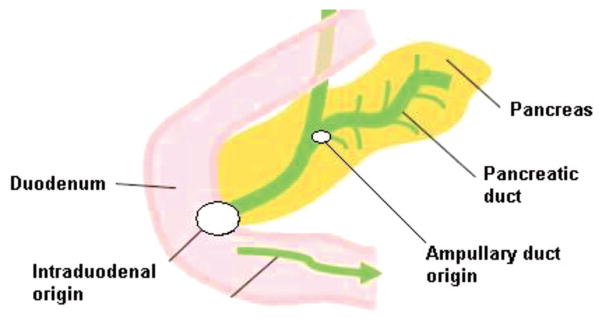 FIG 1