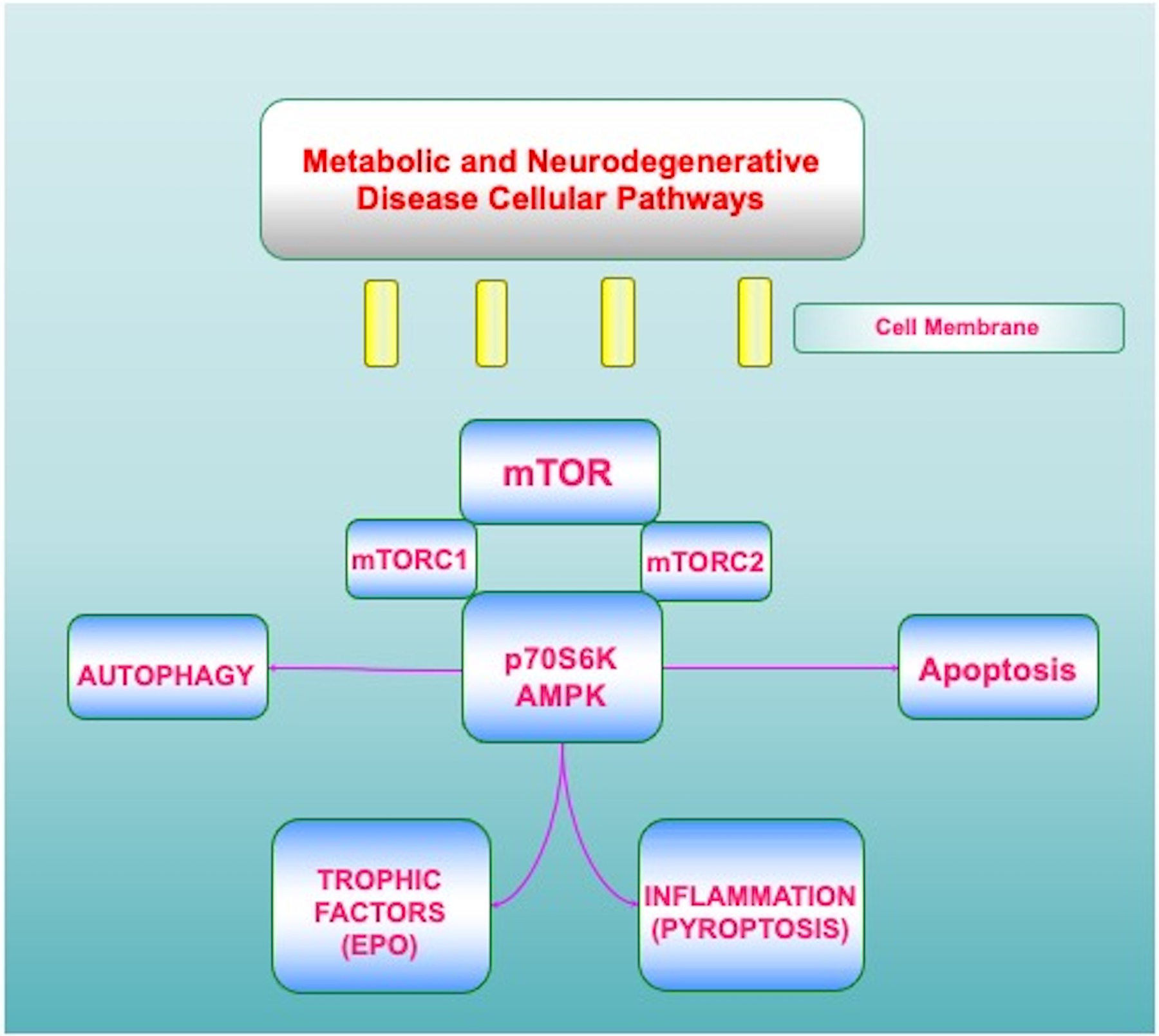 Figure 2: