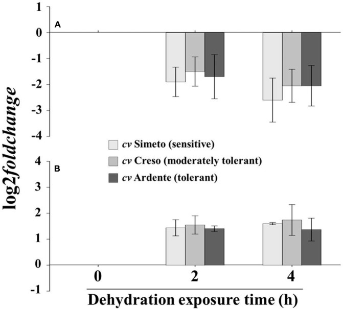 FIGURE 3