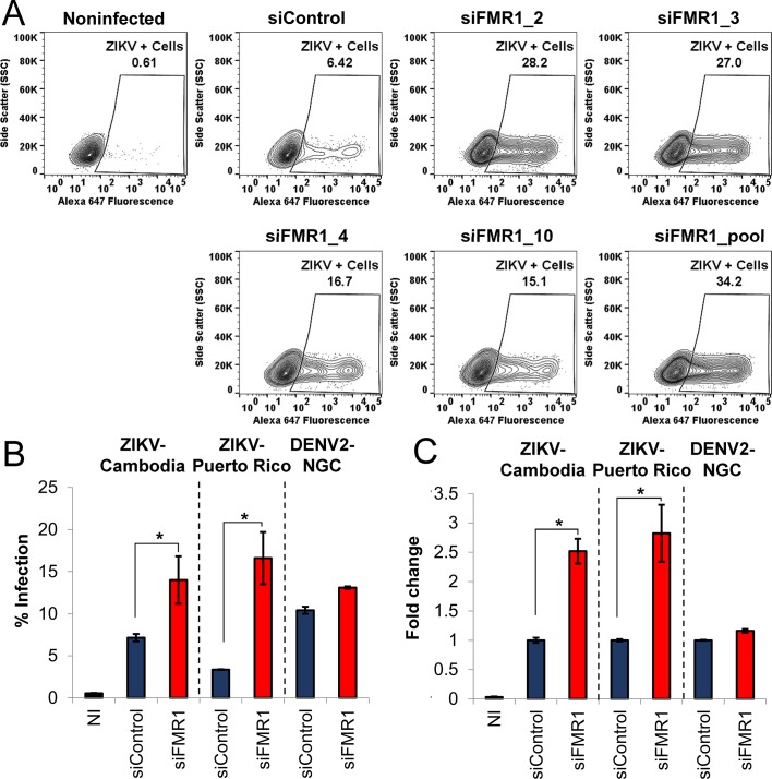 Figure 3—figure supplement 1.