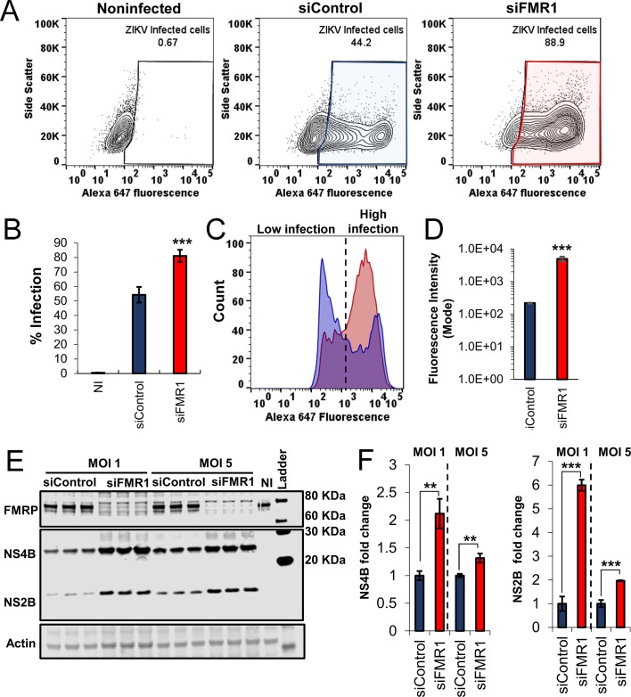 Figure 3—figure supplement 3.