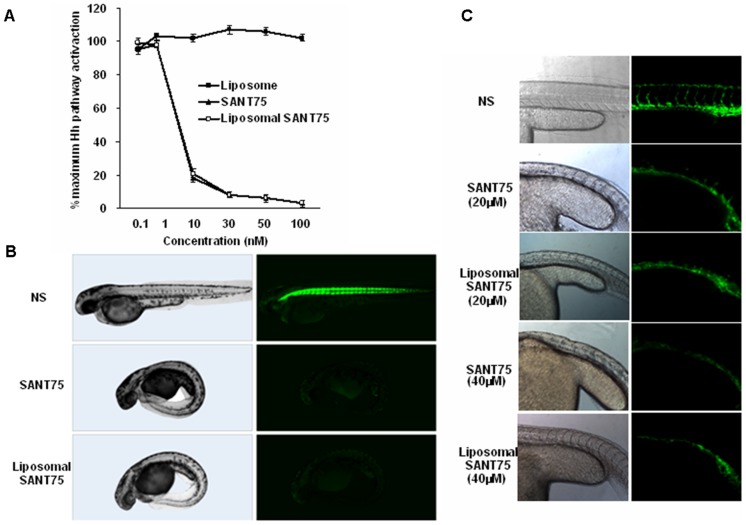 Figure 2.Characterization