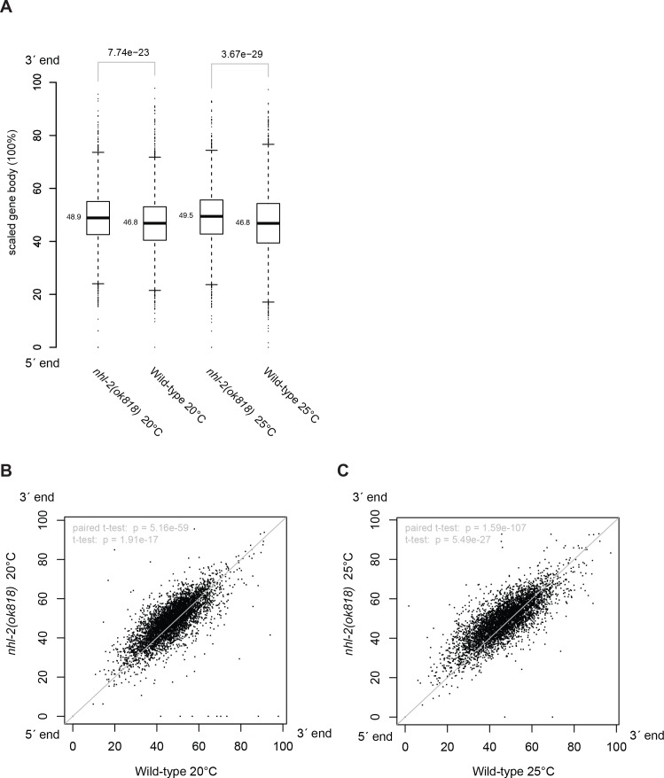 Figure 5—figure supplement 4.