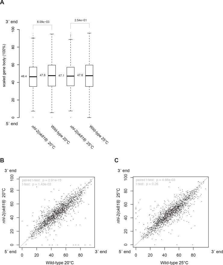 Figure 5—figure supplement 6.