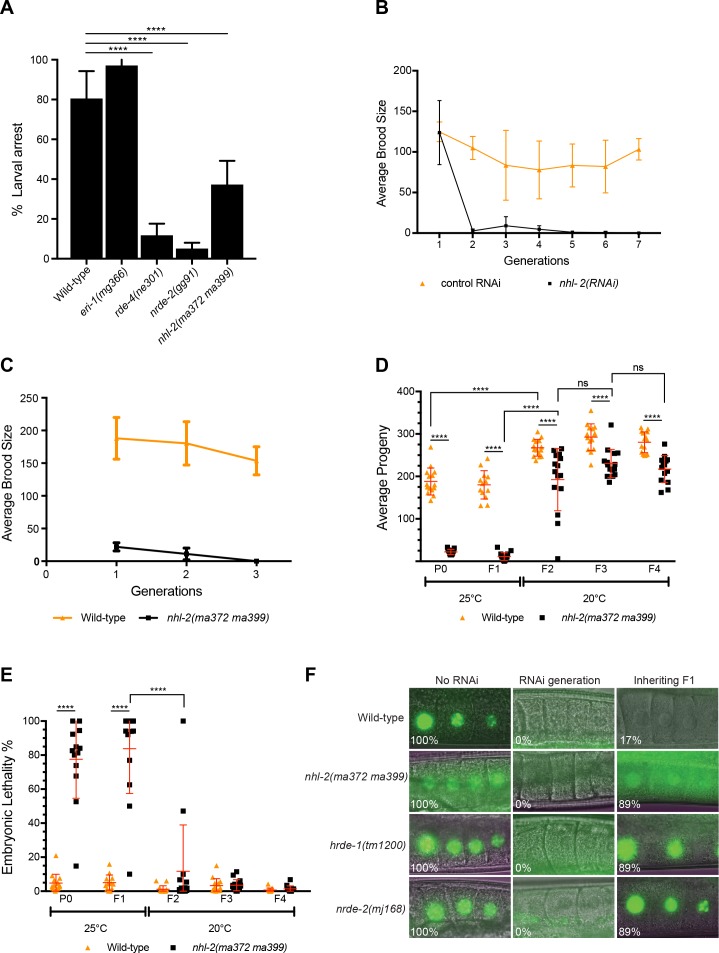 Figure 3—figure supplement 1.