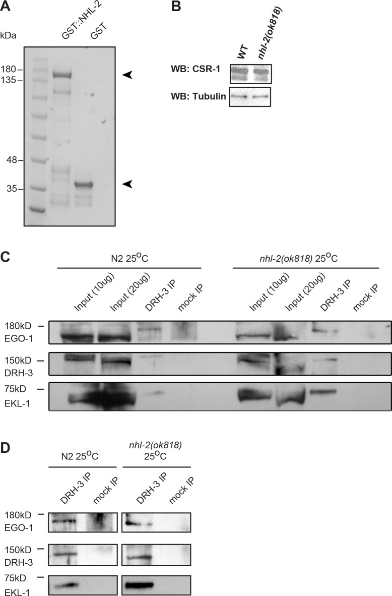 Figure 4—figure supplement 1.