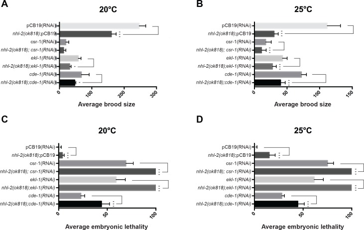 Figure 2—figure supplement 1.