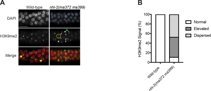 Figure 2—figure supplement 2.