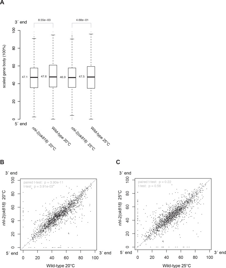 Figure 5—figure supplement 5.