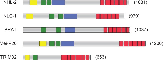 Figure 1—figure supplement 1.