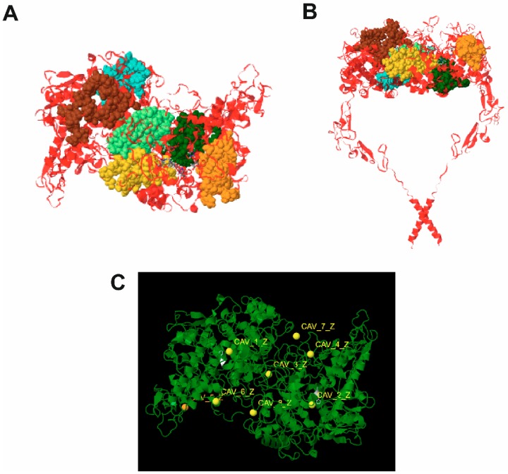 Figure 3