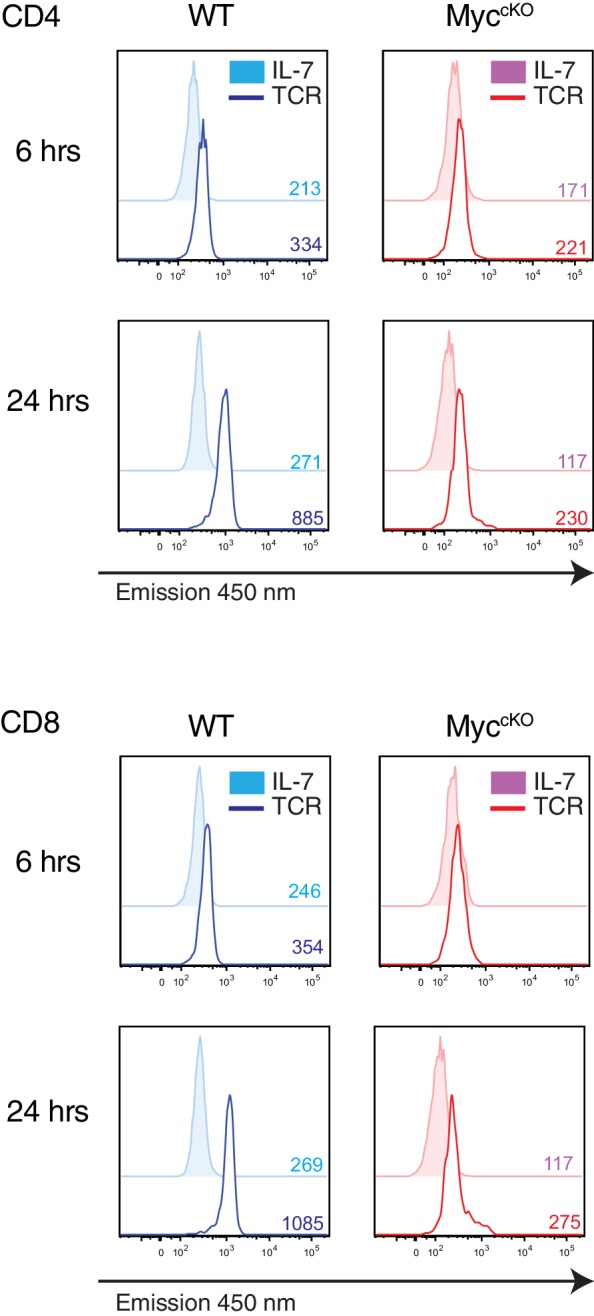 Figure 3—figure supplement 2.