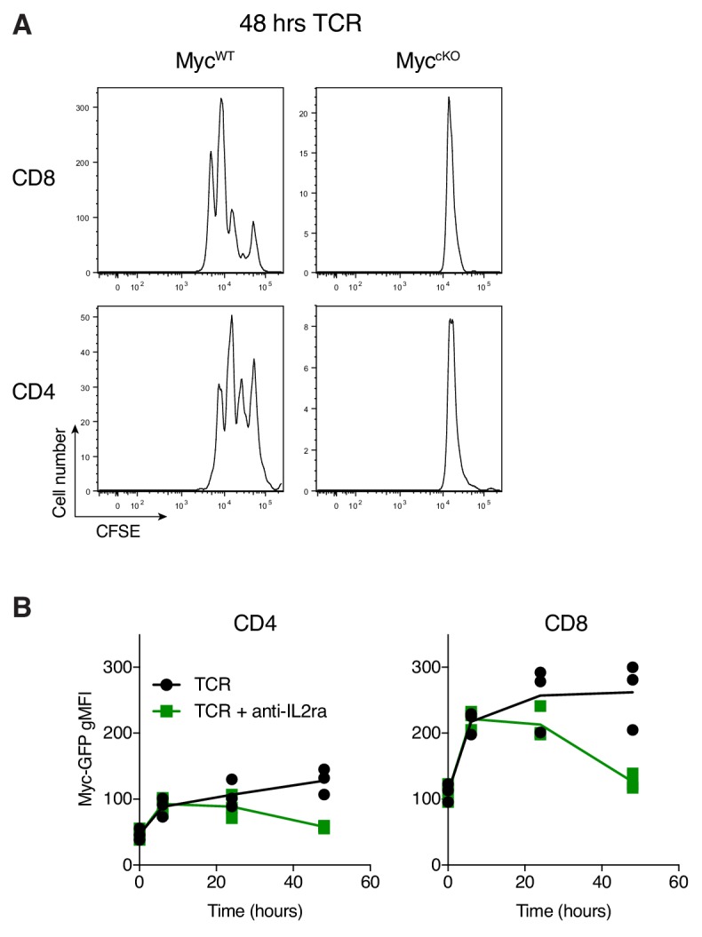 Figure 1—figure supplement 1.