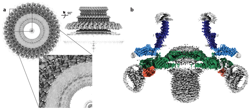 Extended Data Fig. 2