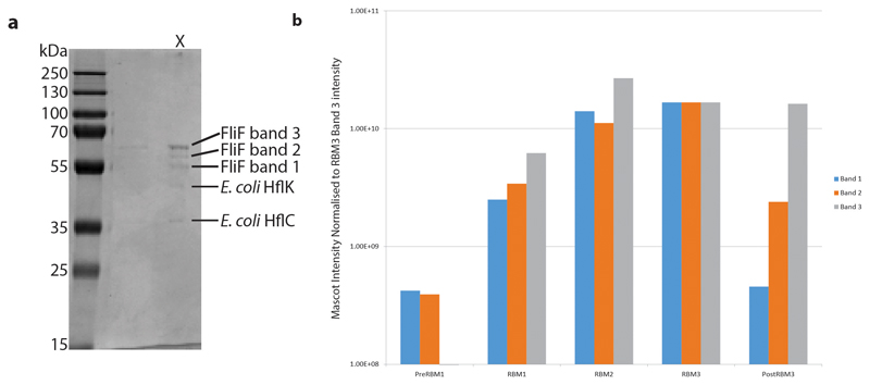 Extended Data Fig. 3