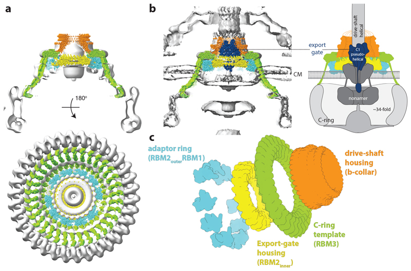 Figure 6