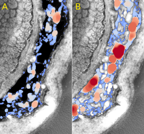 Fig. 4